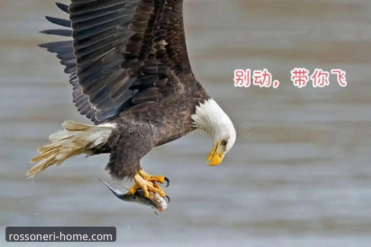 米兰官网新品发布安全吗 尼克斯狂胜老鹰晋级的5大关键看点,米兰官网带你回顾经典战役